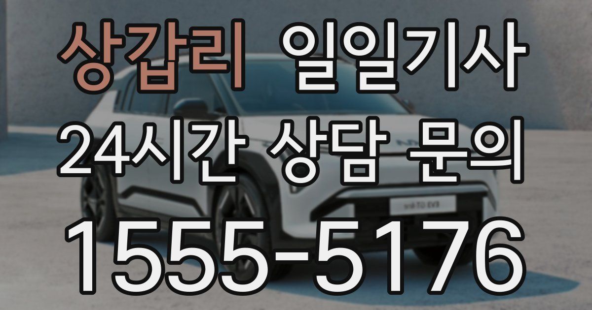 일일대리기사
