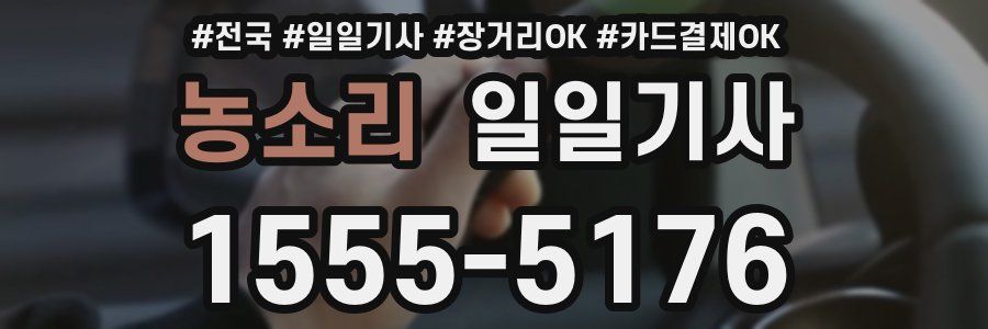 농소리 일일기사