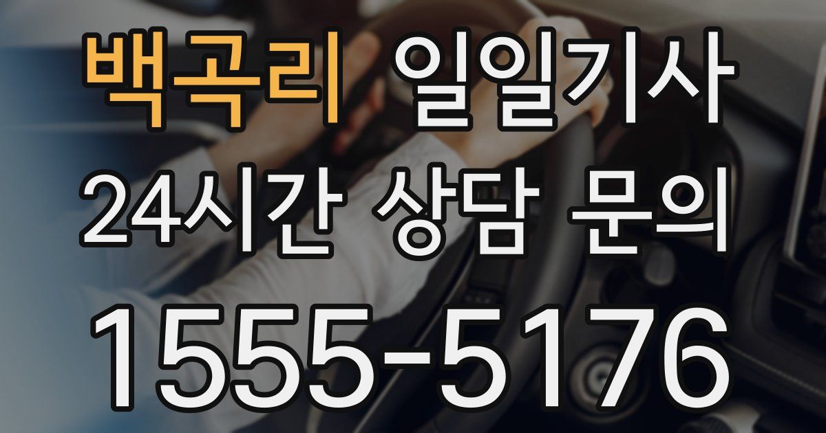 일일대리기사