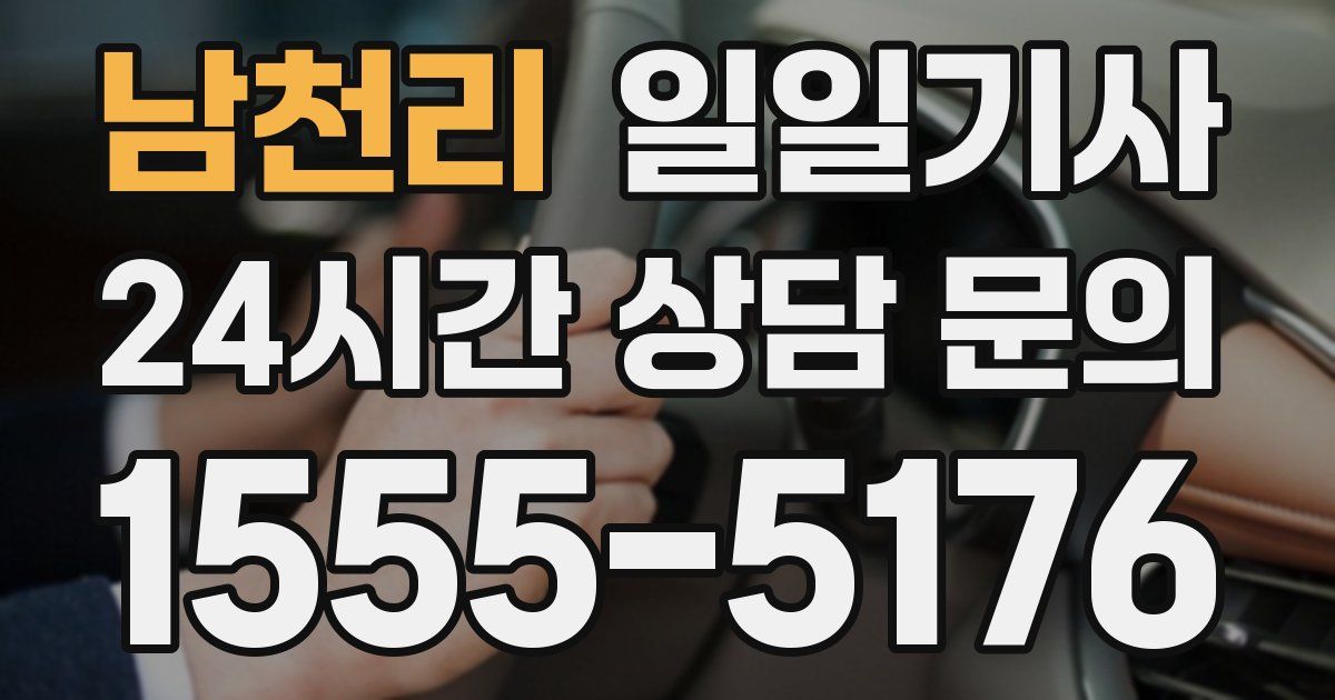 일일대리기사