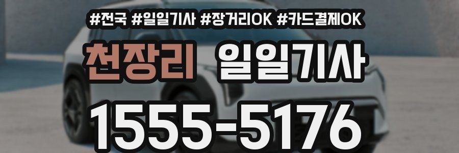 천장리 일일기사