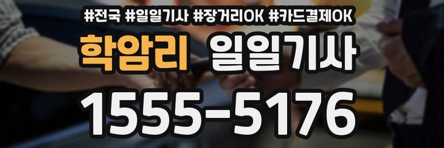 학암리 일일기사