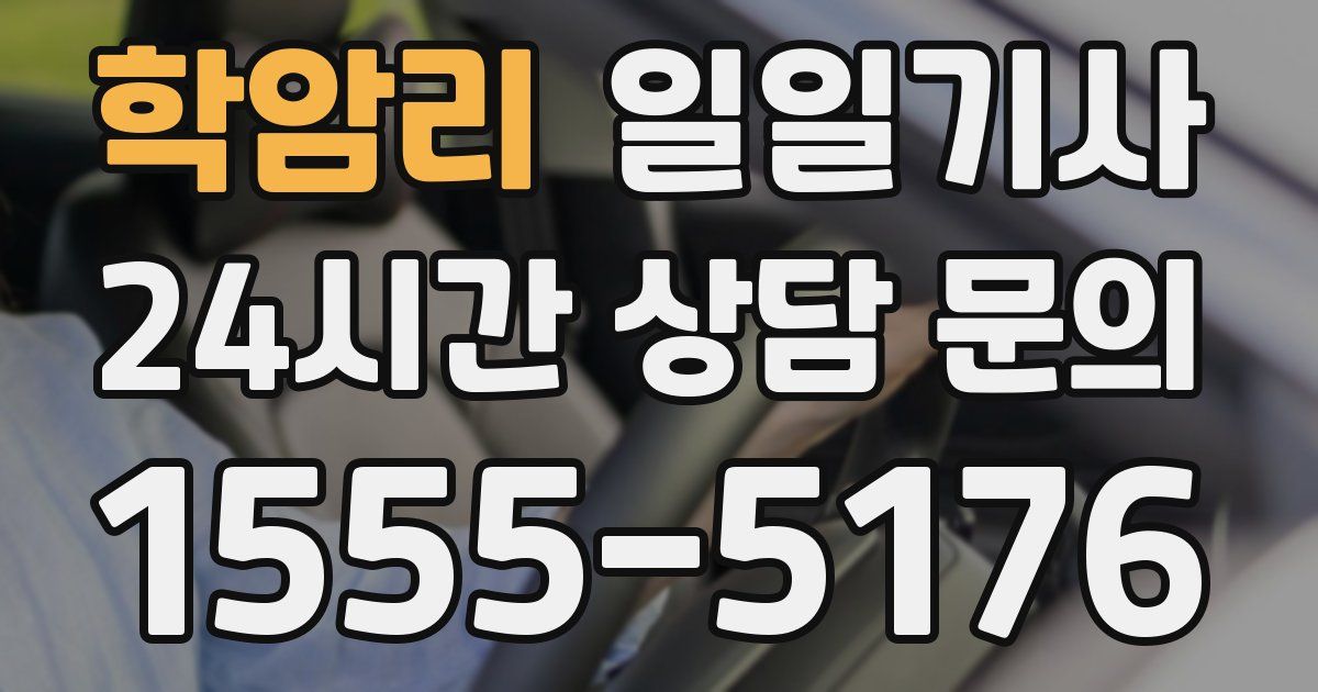 일일대리기사