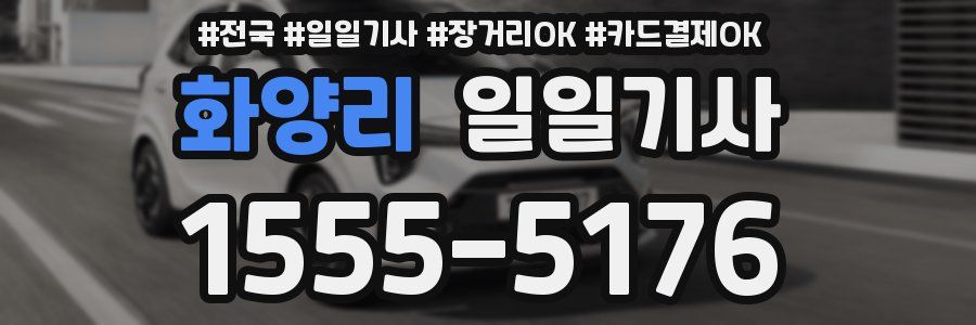 화양리 일일기사