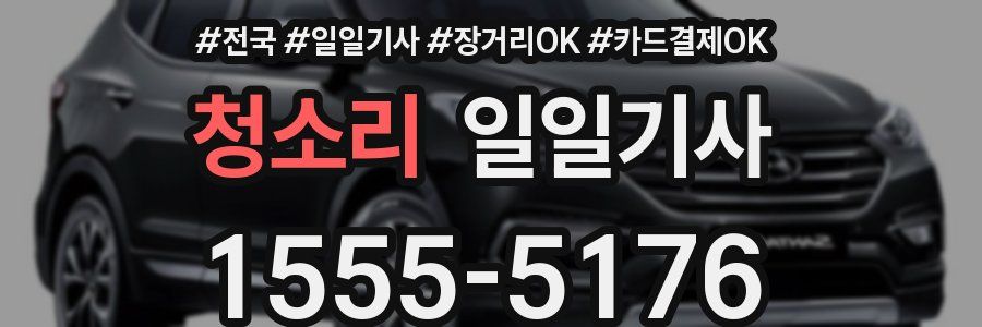 청소리 일일기사