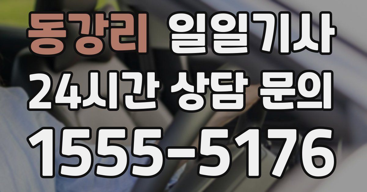 일일대리기사