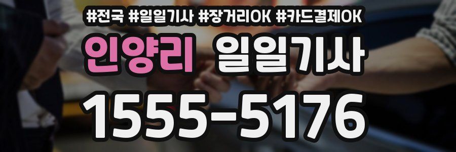 인양리 일일기사