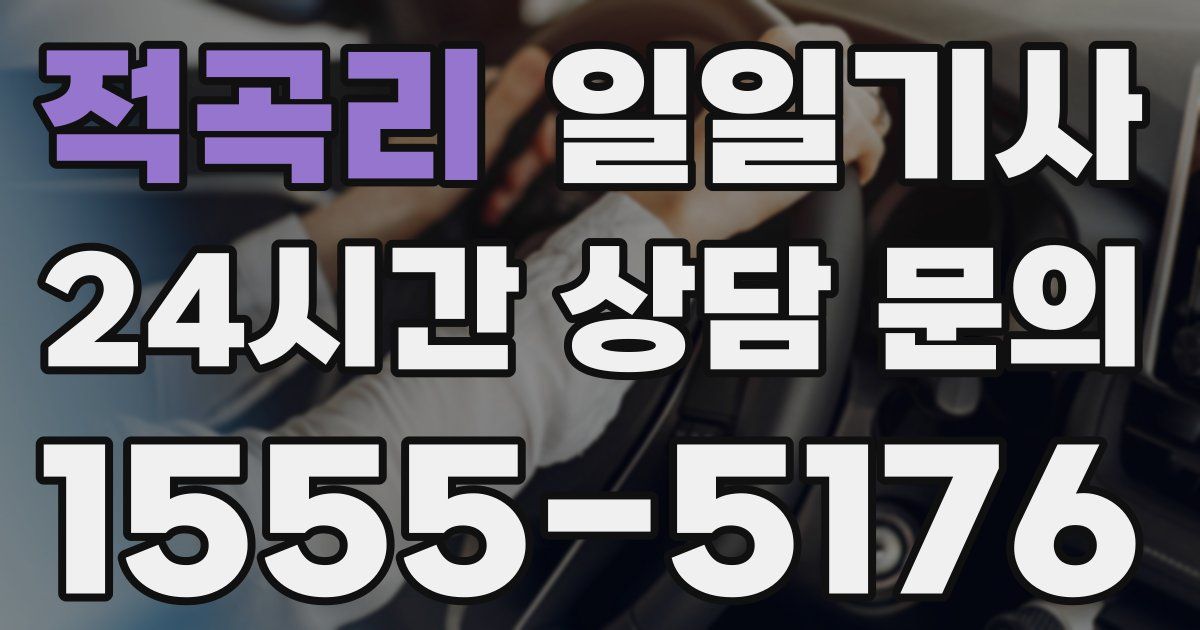 일일대리기사