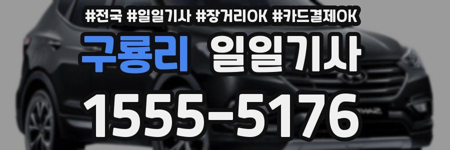 구룡리 일일기사