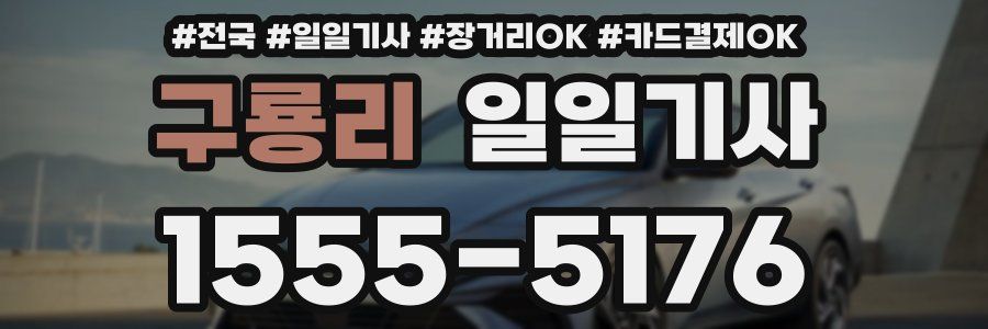 구룡리 일일기사