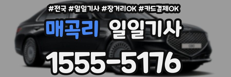 매곡리 일일기사
