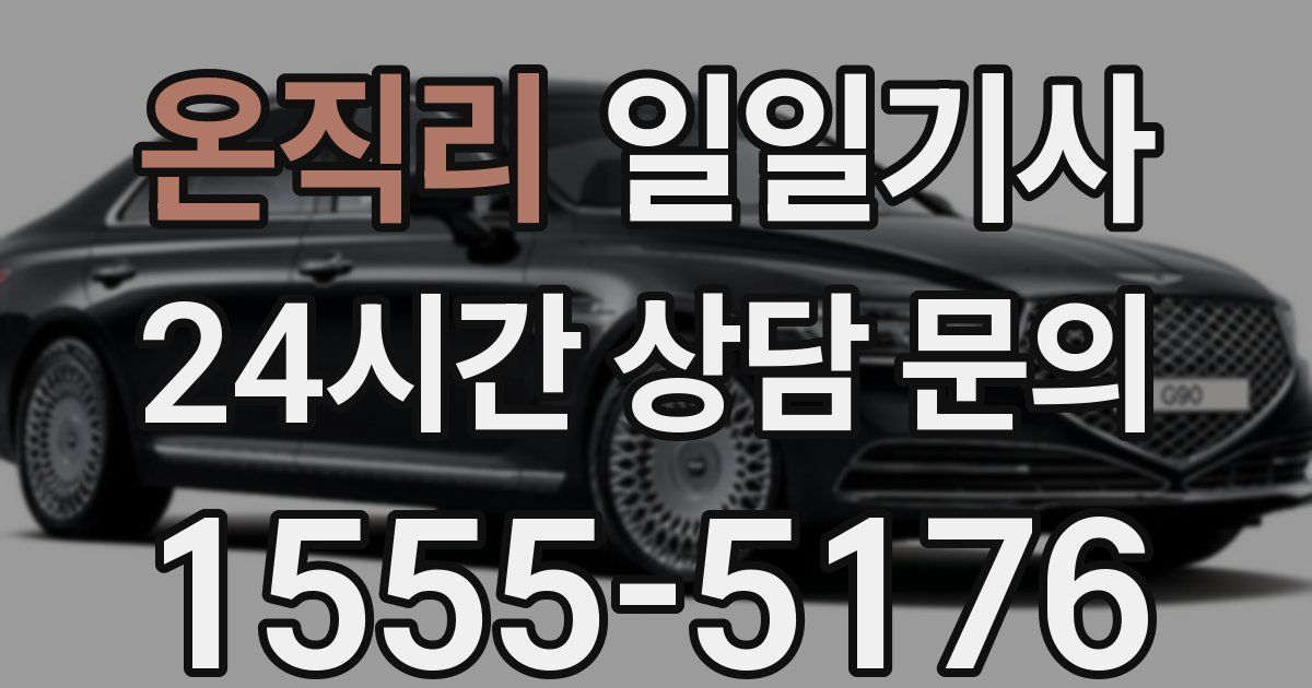 일일대리기사