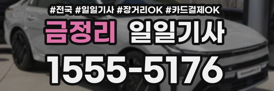 금정리 일일기사