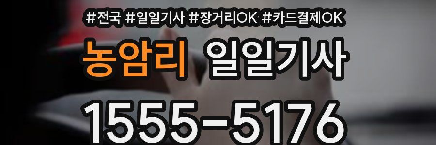 농암리 일일기사