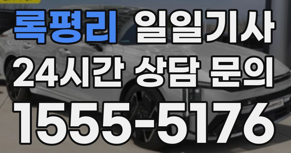 일일대리기사