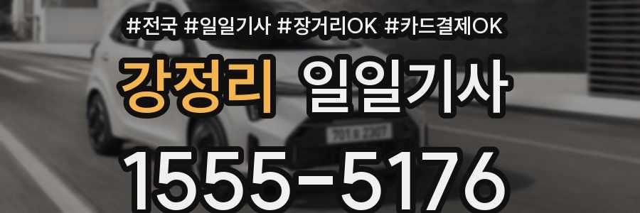 강정리 일일기사