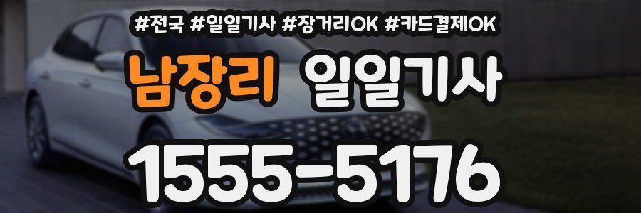 남장리 일일기사