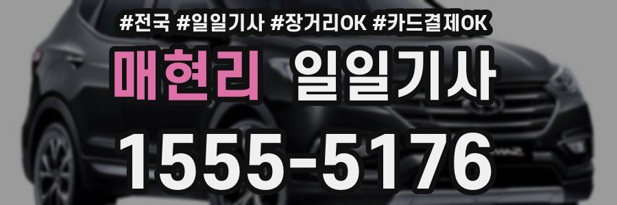 매현리 일일기사