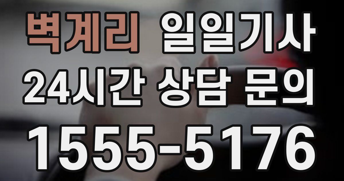 일일대리기사