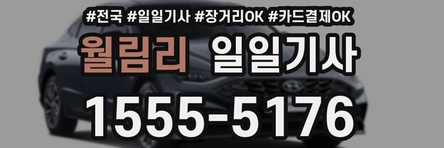 월림리 일일기사