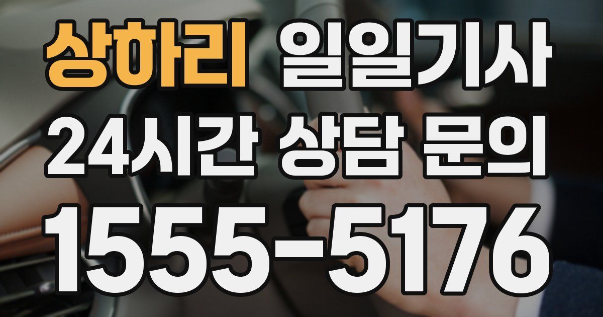 일일대리기사
