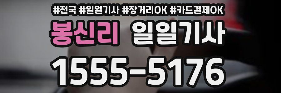 봉신리 일일기사