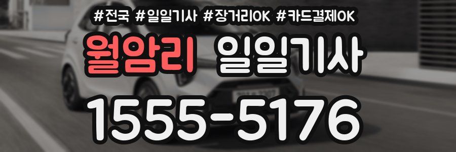 월암리 일일기사