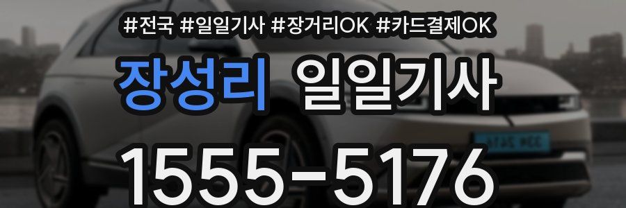 장성리 일일기사