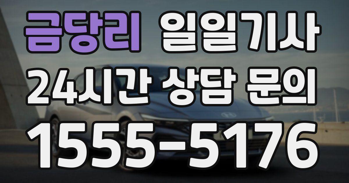 일일대리기사