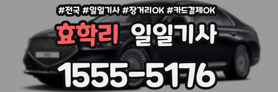 효학리 일일기사
