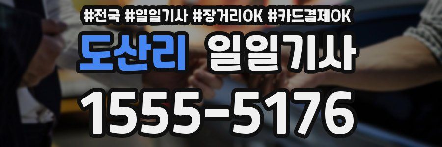도산리 일일기사