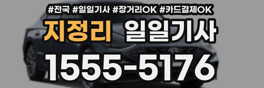 지정리 일일기사