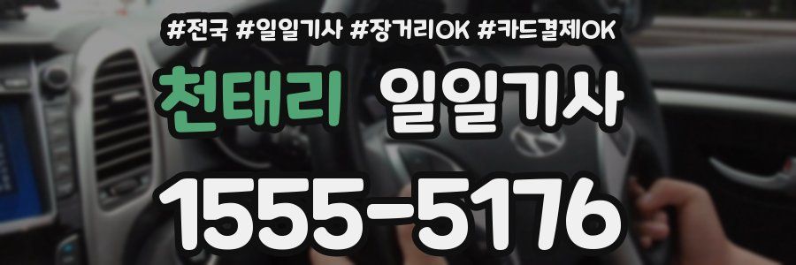 천태리 일일기사