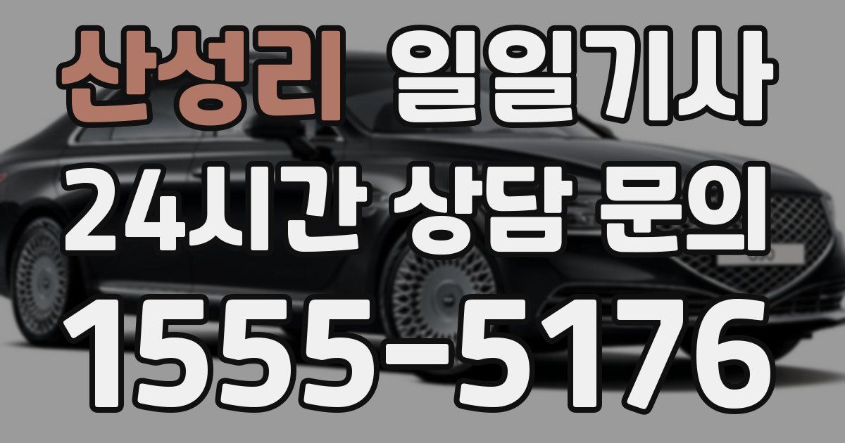 일일대리기사