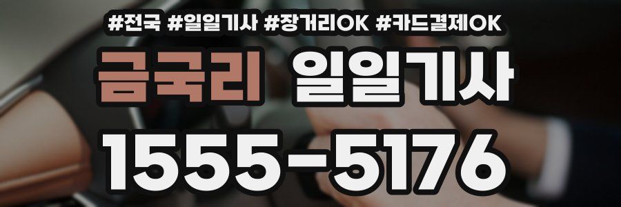 금국리 일일기사