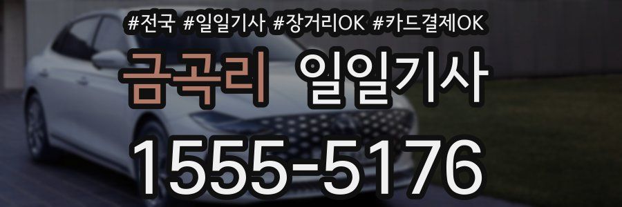 금곡리 일일기사