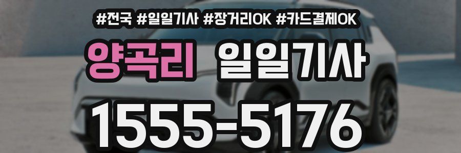 양곡리 일일기사