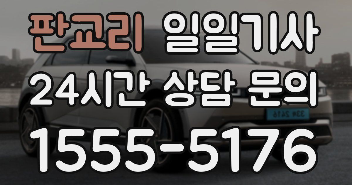 일일대리기사