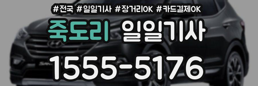 죽도리 일일기사