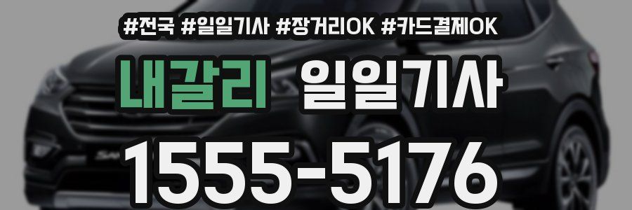 내갈리 일일기사