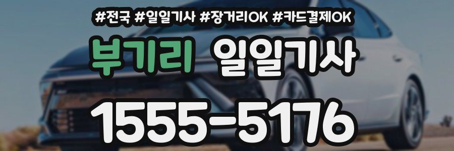 부기리 일일기사