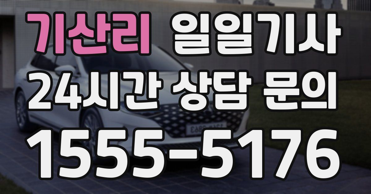 일일대리기사
