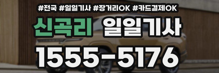 신곡리 일일기사