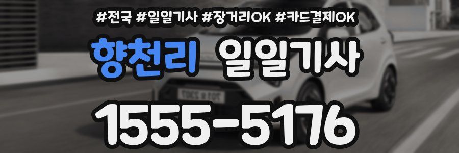 향천리 일일기사