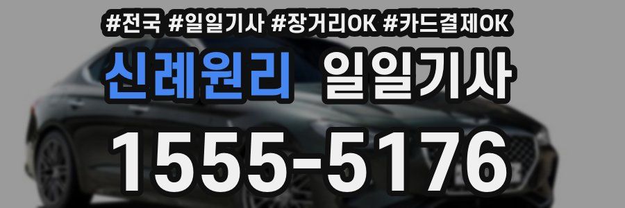 신례원리 일일기사