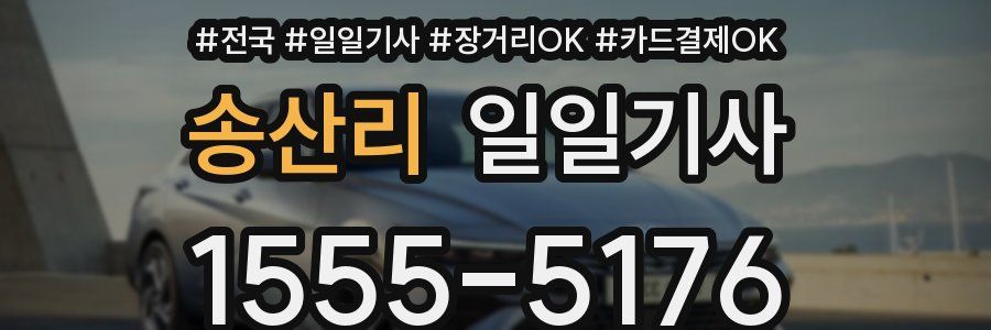 송산리 일일기사