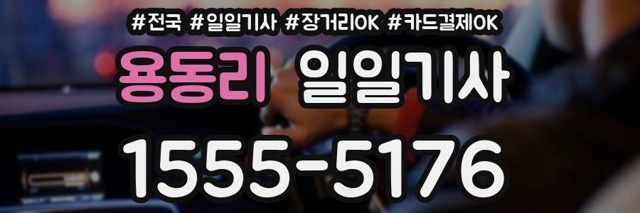 용동리 일일기사