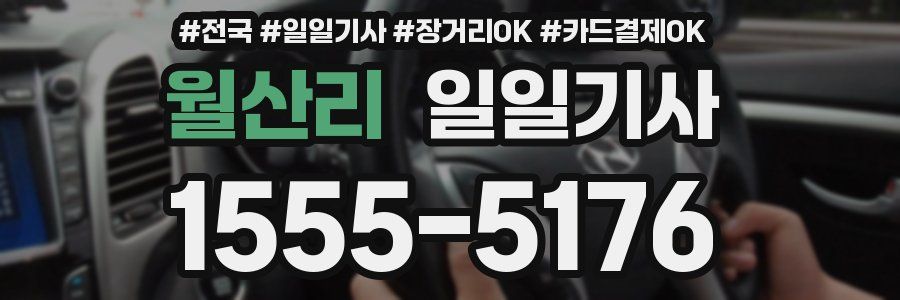월산리 일일기사