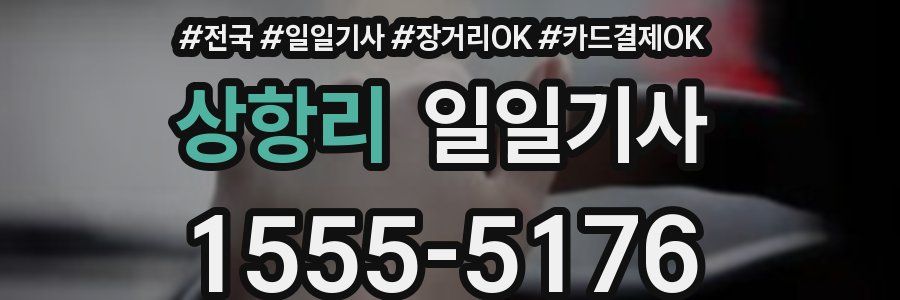 상항리 일일기사