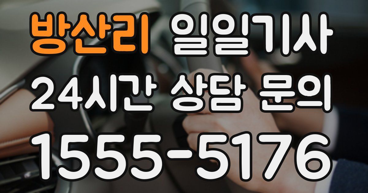 일일대리기사